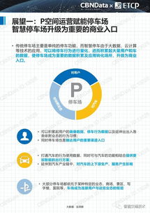 2017中國(guó)智慧停車行業(yè)大數(shù)據(jù)報(bào)告 數(shù)據(jù)驅(qū)動(dòng)的停車革新